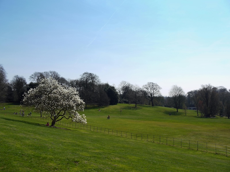 uk-traval-visa-reject-reason3