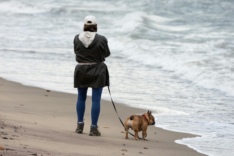 sponsor-licence-fee3