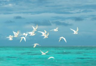 英国内政部放大招! 近期重磅改革汇总, 哪一条对你影响最大?