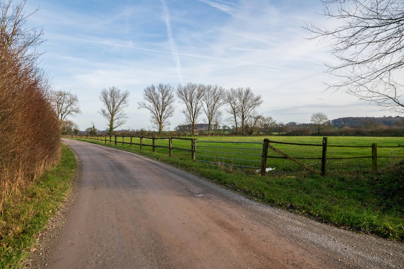 scrutinize-bank-accounts2