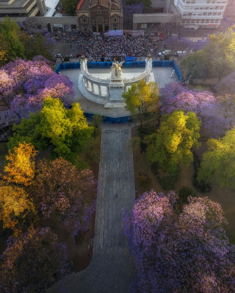 墨西哥移民自然景观