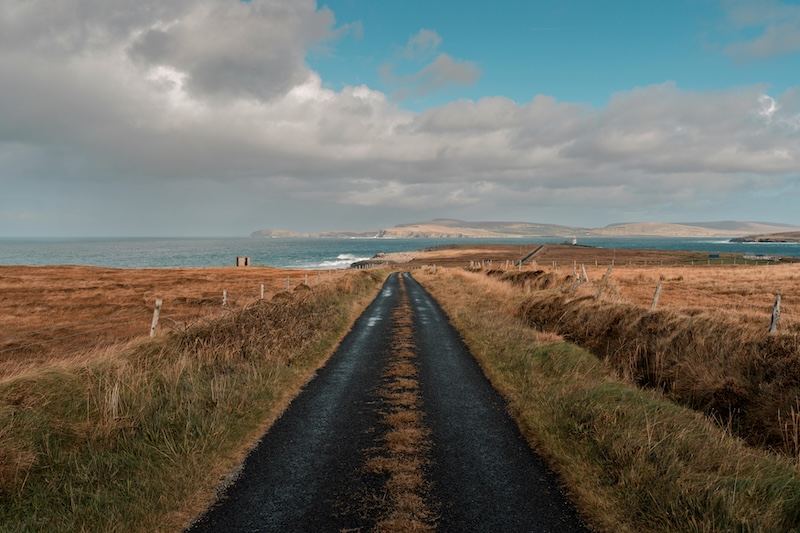 2025移民趋势爱尔兰