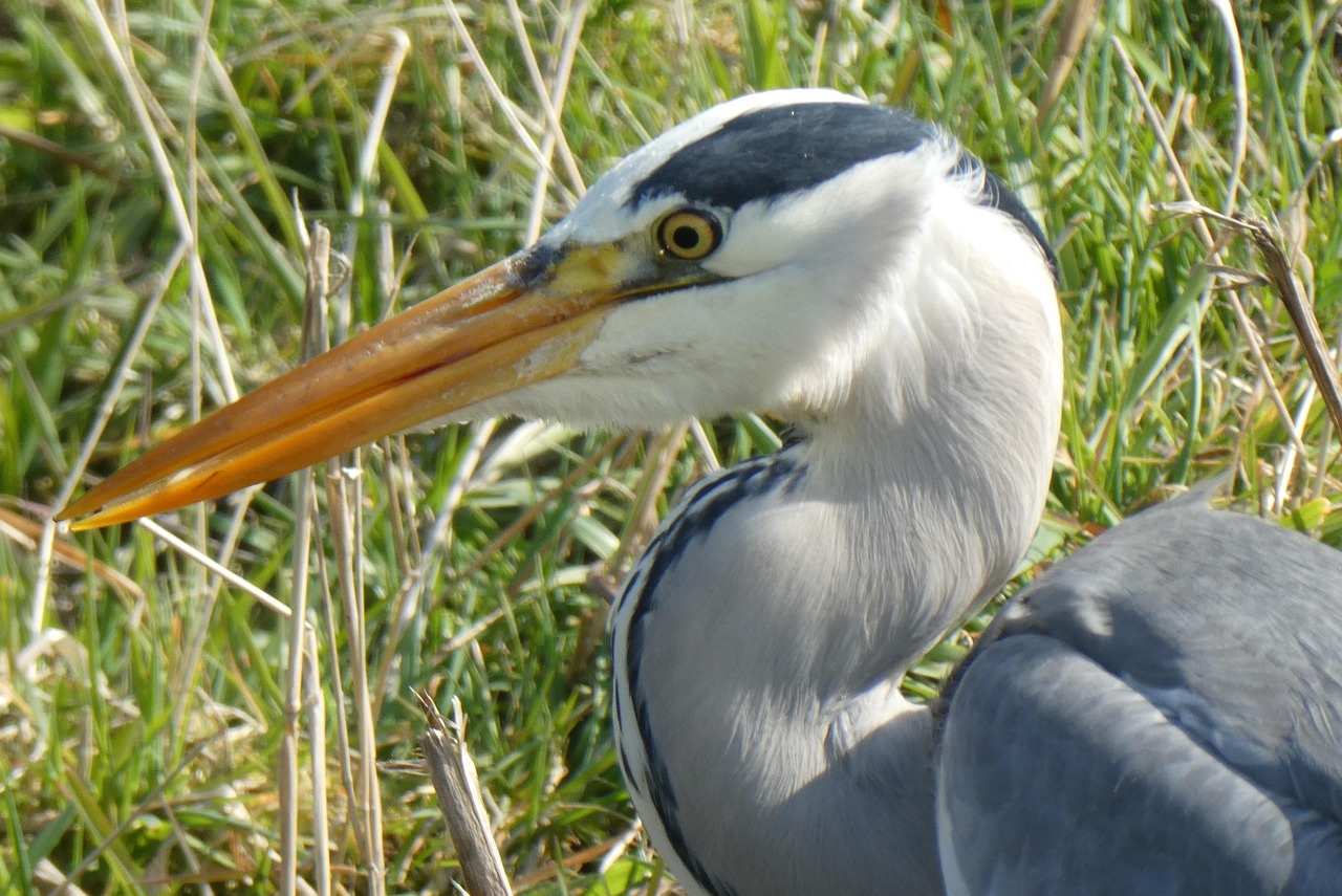 绿茵场哨响，世界杯引爆全球经济！